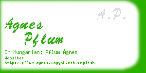agnes pflum business card